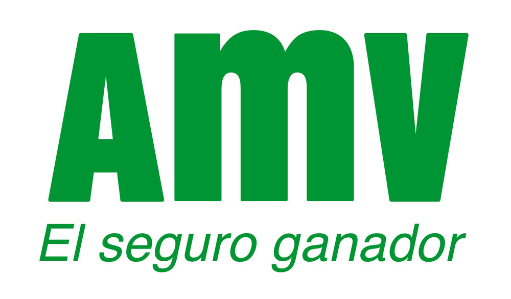 amv